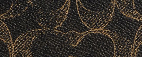COACH®,Nolita 19 In Loved Signature Canvas With Charms,Recycled Polyester,Canvas,Leather,Shoulder Bag,3D Embellishment,Met...,Black,Front View