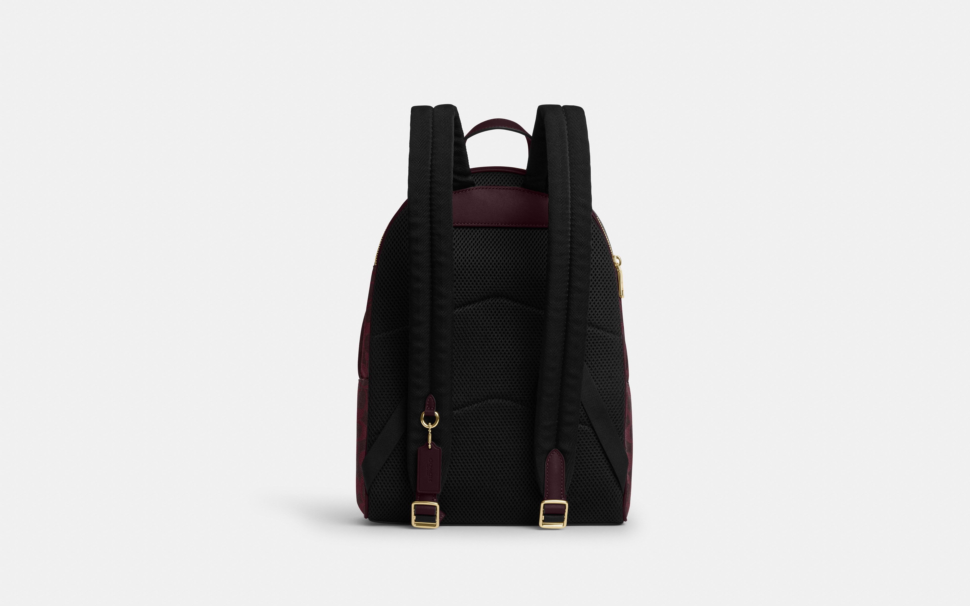 Taylor Small Backpack Signature Canvas