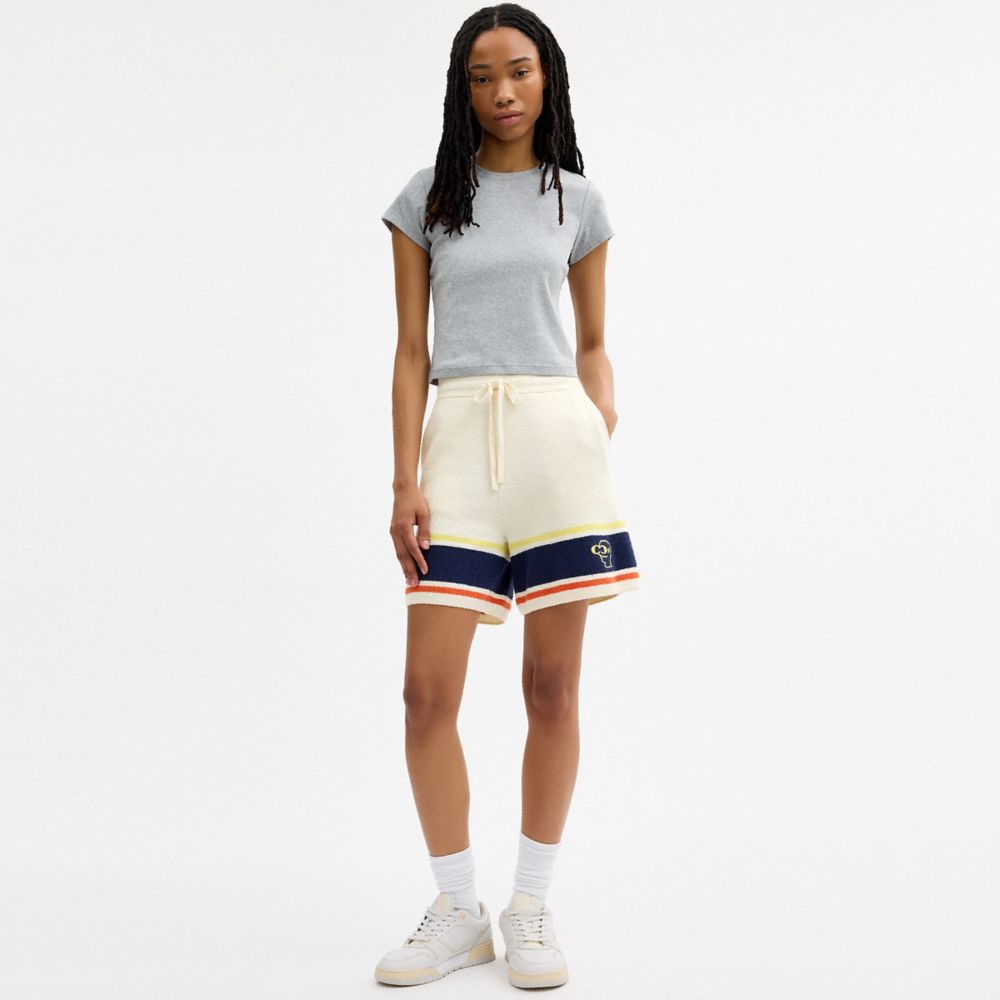 Coach | Brain Dead Striped Knit Shorts — фото 2