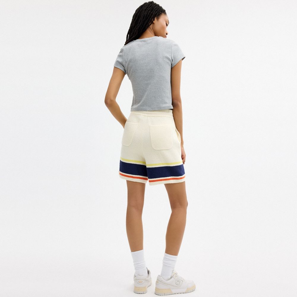 Coach | Brain Dead Striped Knit Shorts — фото 3