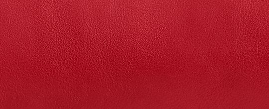 COACH®,バレル バッグ,ショルダーバッグ,ﾌﾞﾗｽ/ﾒｲﾌﾟﾙ,ﾌﾞﾗｽ/ｽｶｰﾚｯﾄ