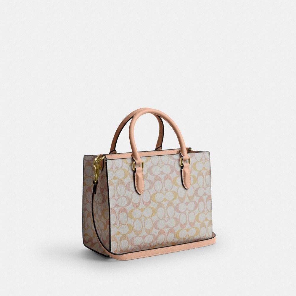 COACH®,Maggie Small Tote Bag In Pretty Signature Canvas,,Angle View