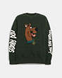 COACH®,COACH | SCOOBY-DOO! SIGNATURE CREWNECK SWEATSHIRT,Cotton/Polyester,Green,Front View