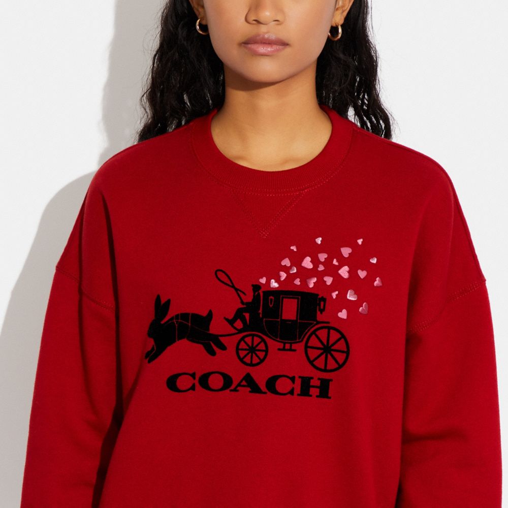 Coach 2025 rabbit sweater