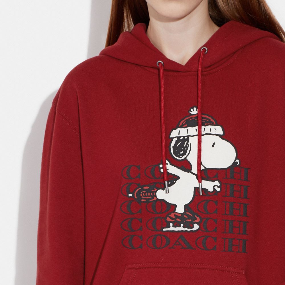 Peanuts snoopy store skates pullover hoodie