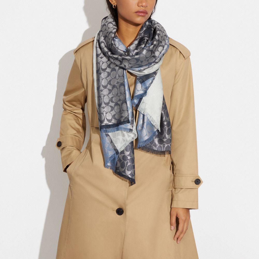 Louis Vuitton Black Winter Scarves & Wraps for Women for sale