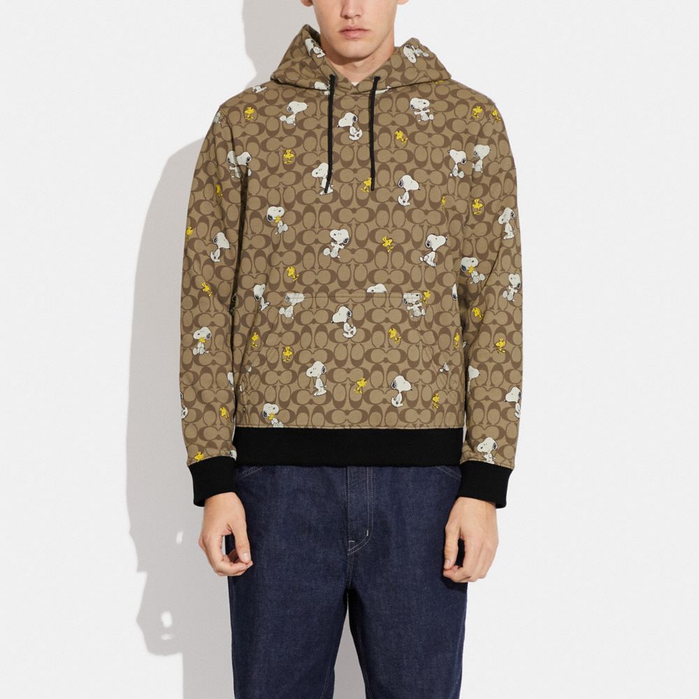 NEW Louis Vuitton Fashion Hoodies For Men-14, Replica Clothing