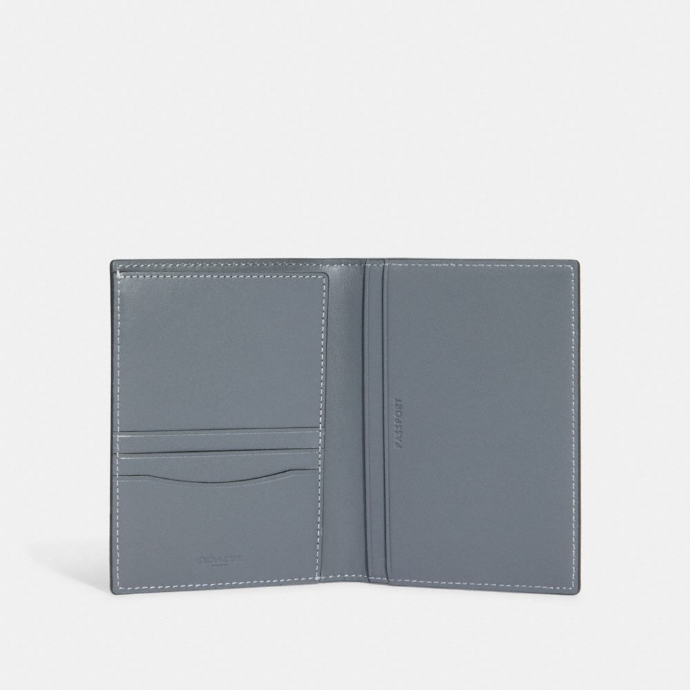 Passport Case With Ski Slopes Print