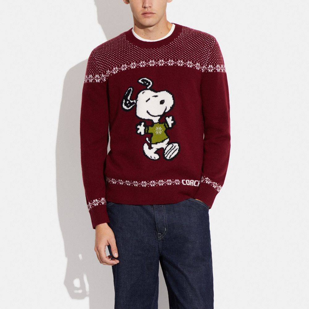 Red best sale snoopy sweater