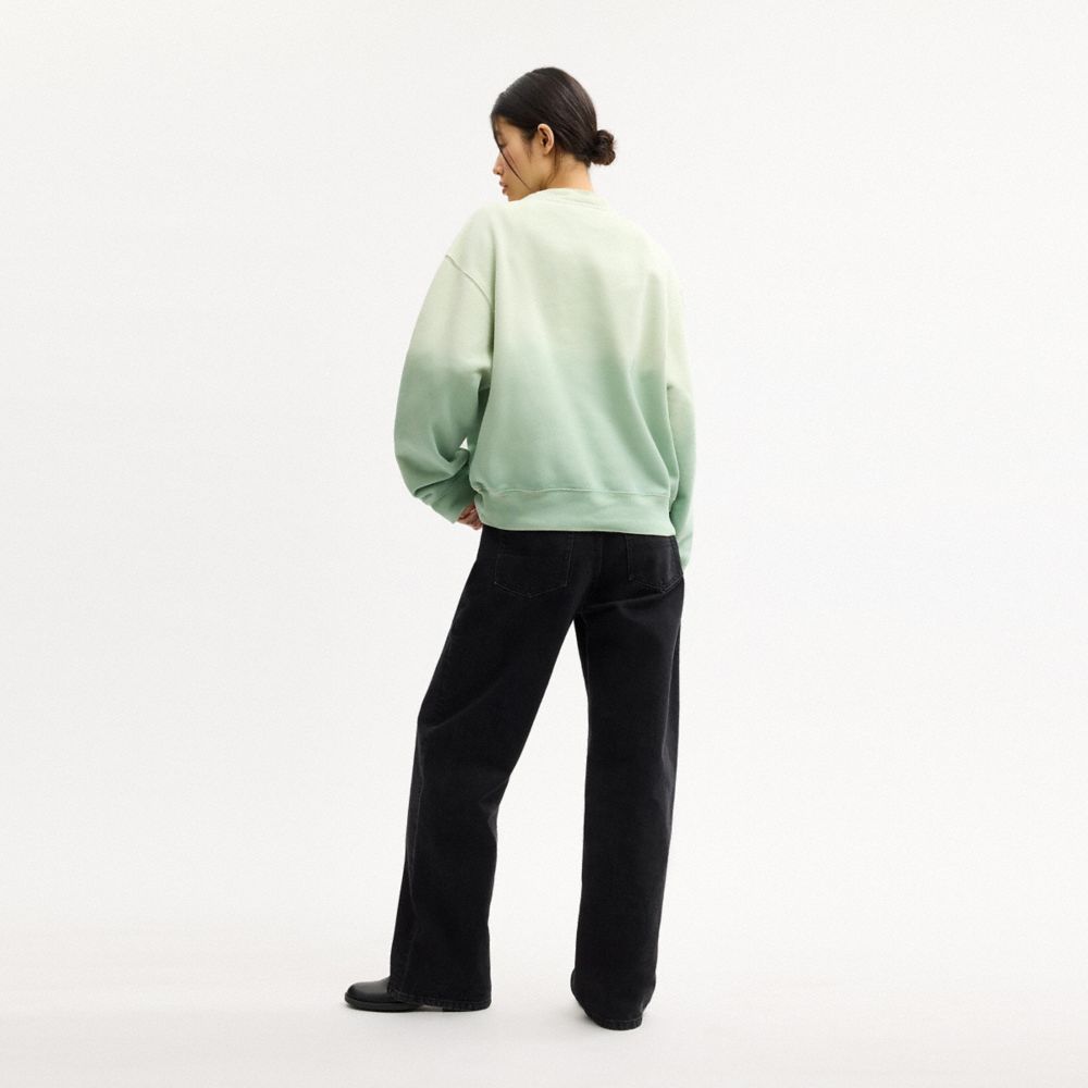 COACH®,Ombre Sporty Crewneck Sweatshirt In Organic Cotton,,Scale View