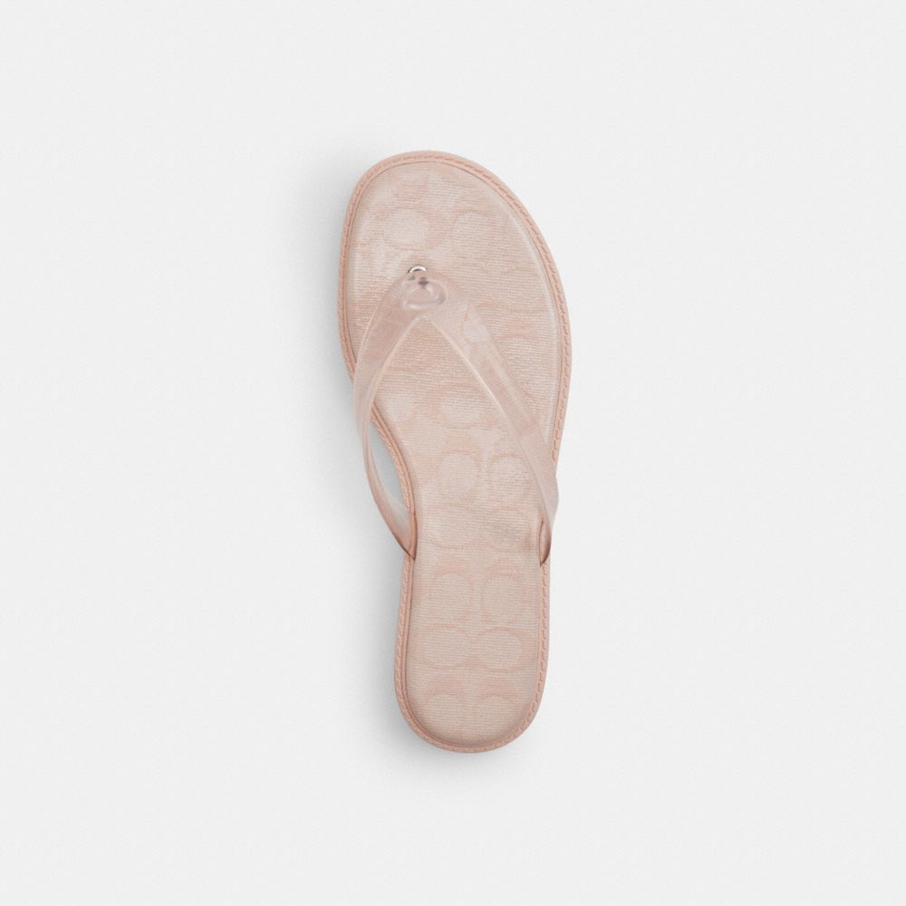 Jelly Flip Flop Signature
