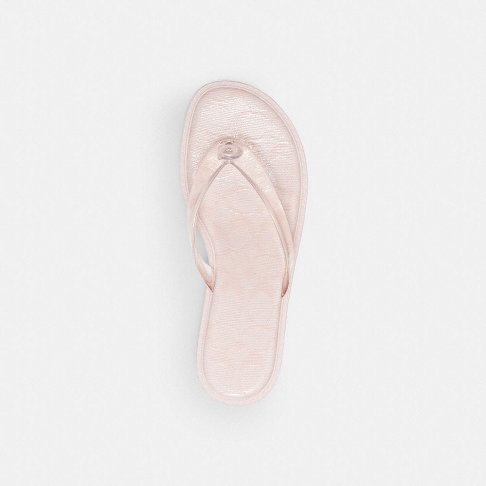 COACH®,Jelly Thong Sandal In Signature,,Inside View,Top View