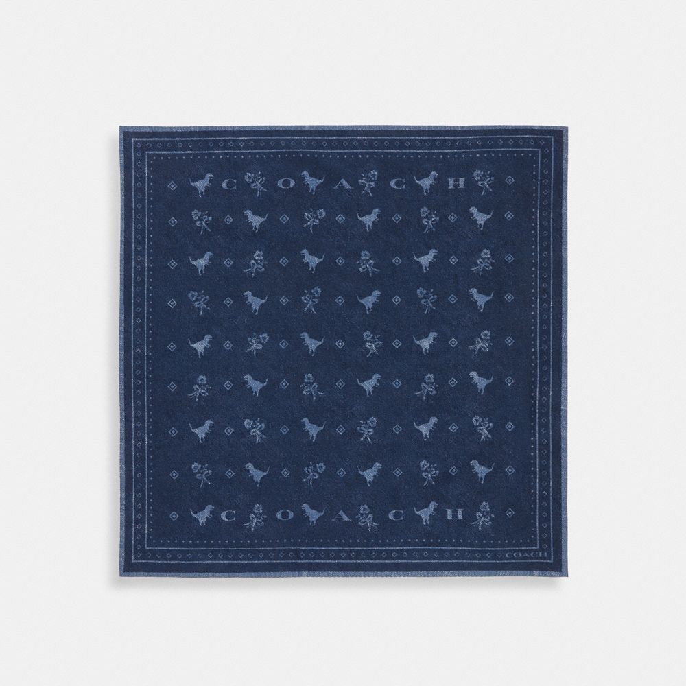 COACH®,Dino Print Bandana,,Front View