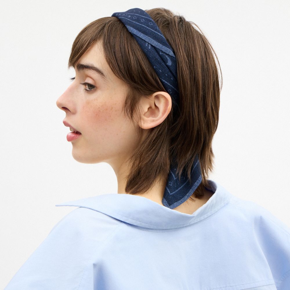 COACH®,Dino Print Bandana,,Detail View