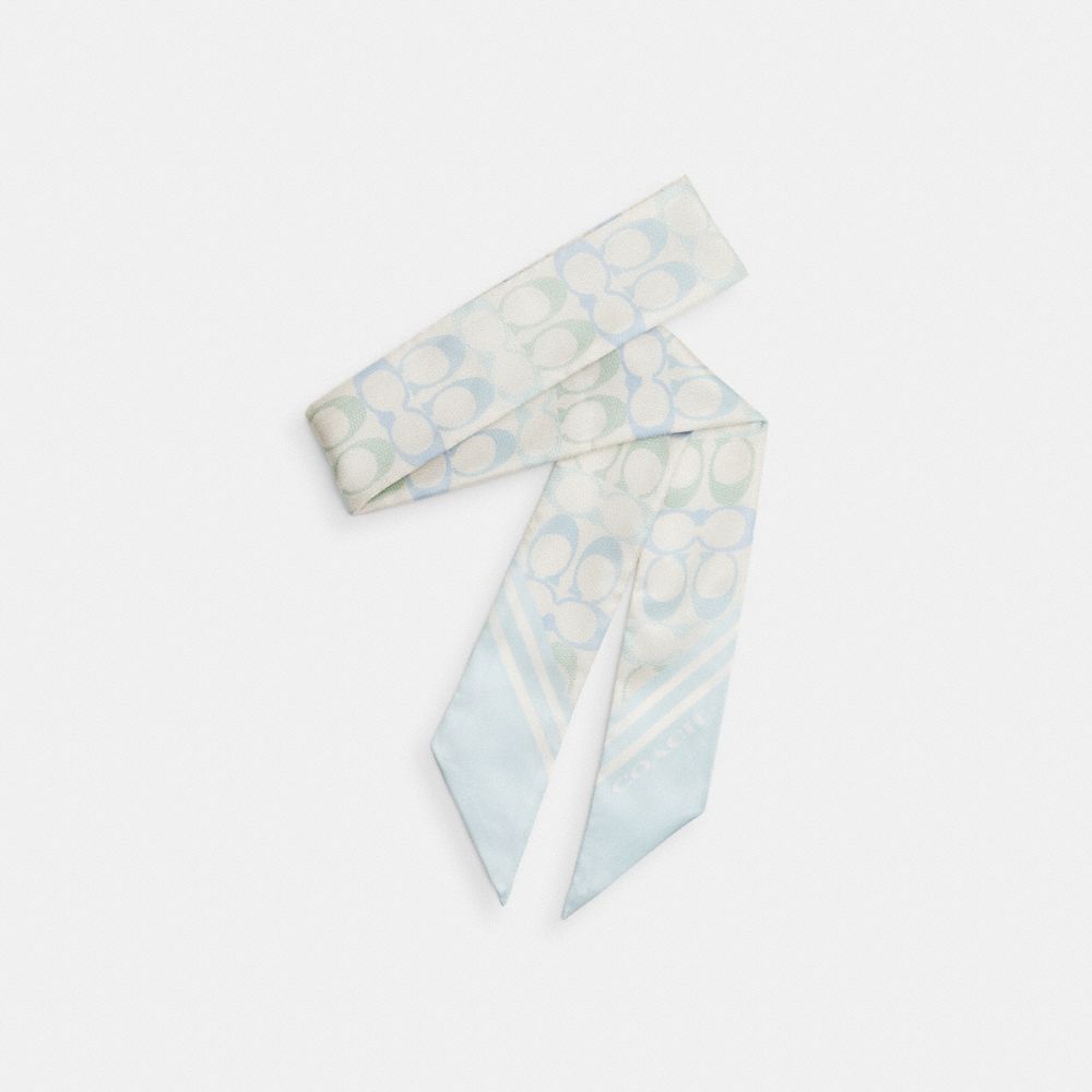COACH®,Signature Silk Skinny Scarf,,Front View