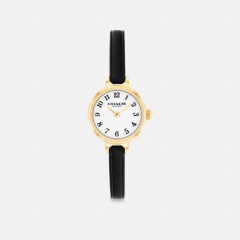 Coach Iris Watch, 22 Mm