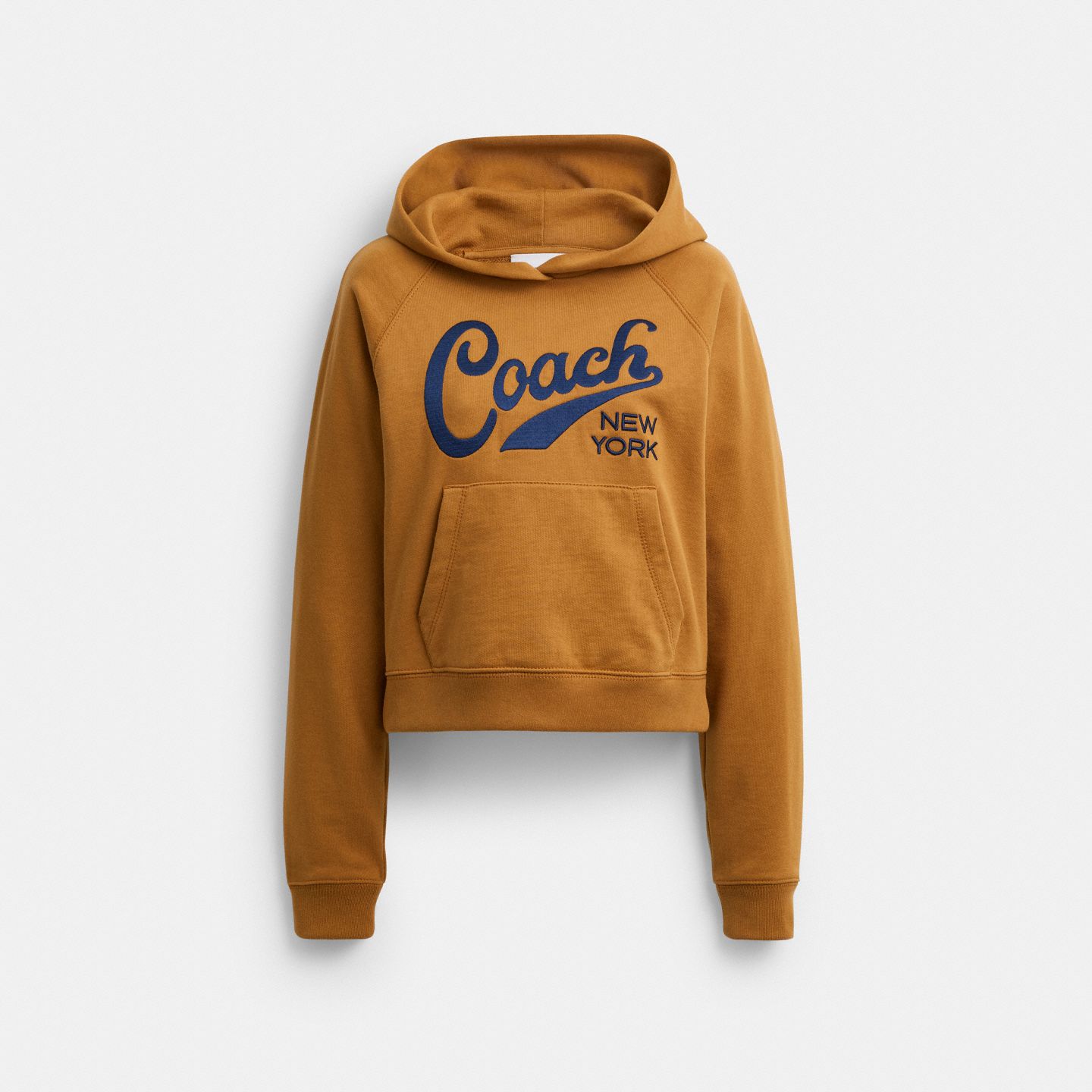 Мужское худи Coach Sporty Script, цвет: Светлый коричневый — фото 1