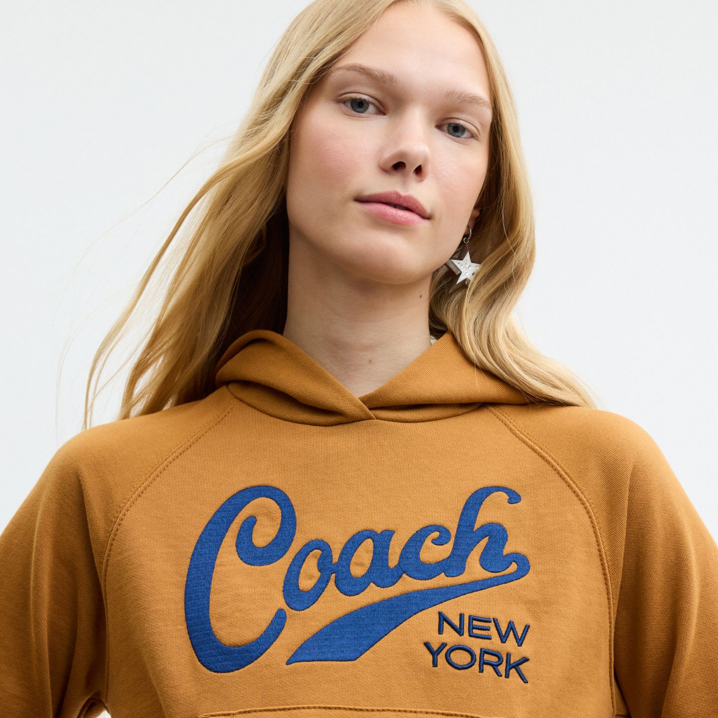 Мужское худи Coach Sporty Script, цвет: Светлый коричневый — фото 4