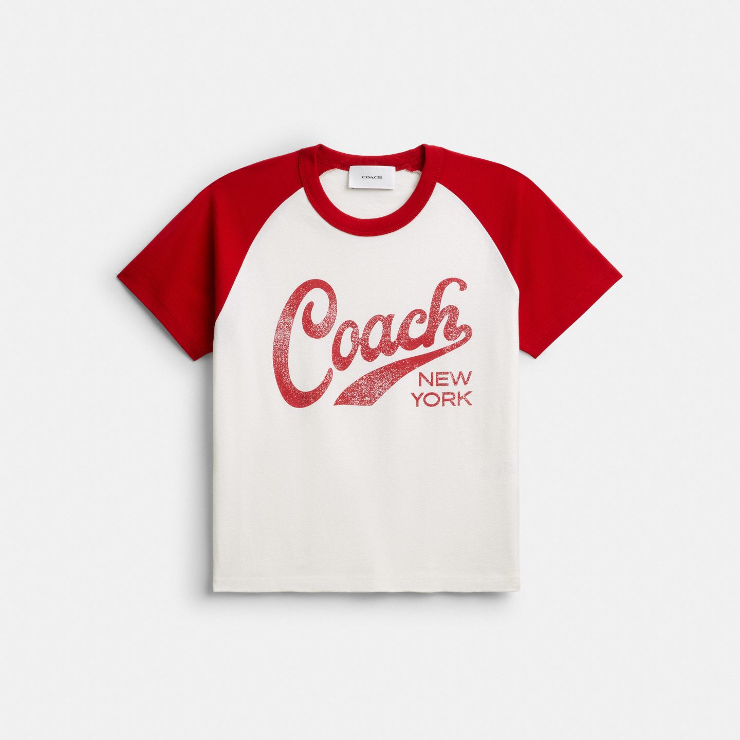 Мужская футболка Coach Sporty Script 90's Fit T-Shirt In Organic Cotton, цвет: Красный разноцветный — фото 1