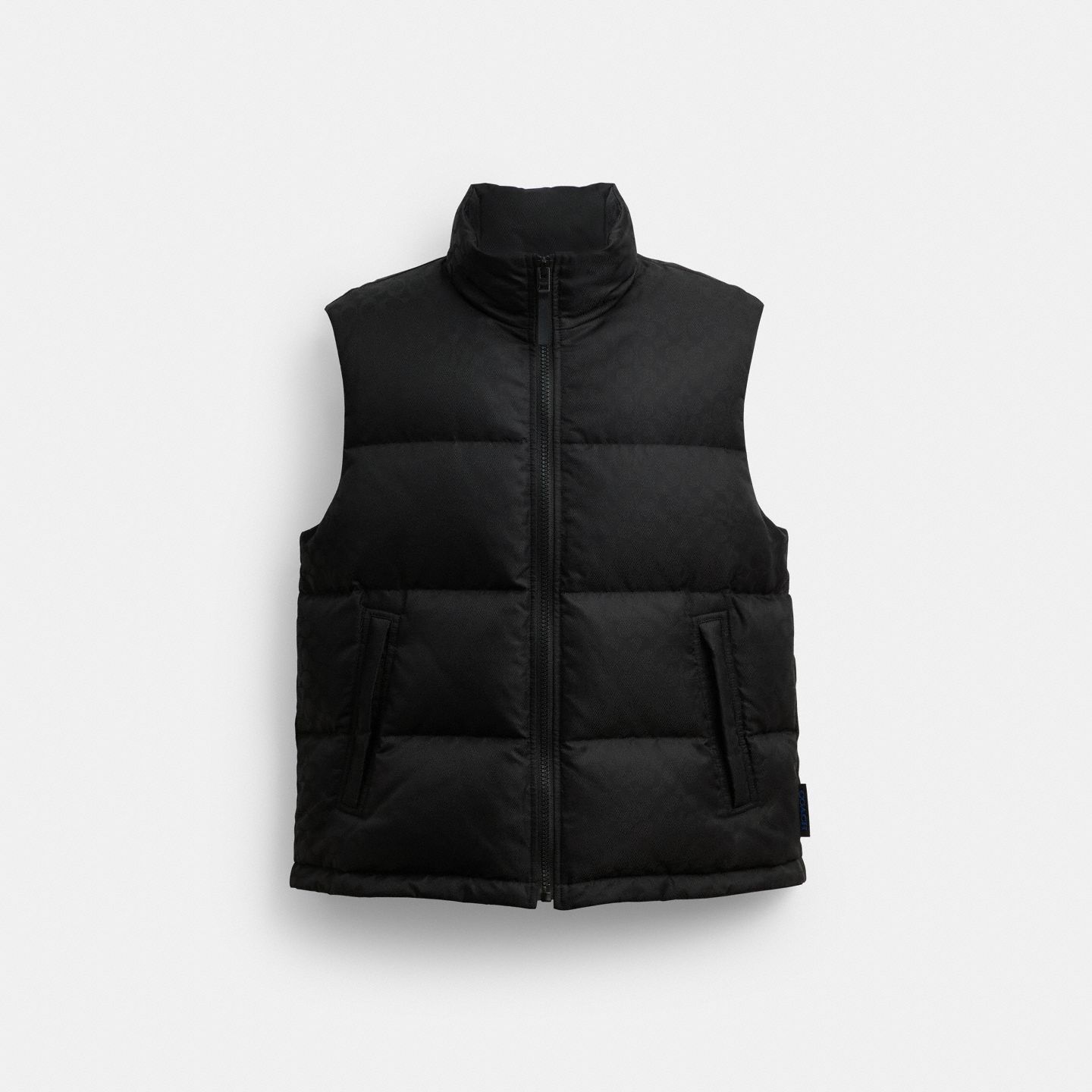 Мужской жилет Coach Tonal Signature Down Vest, цвет: Чёрный — фото 1