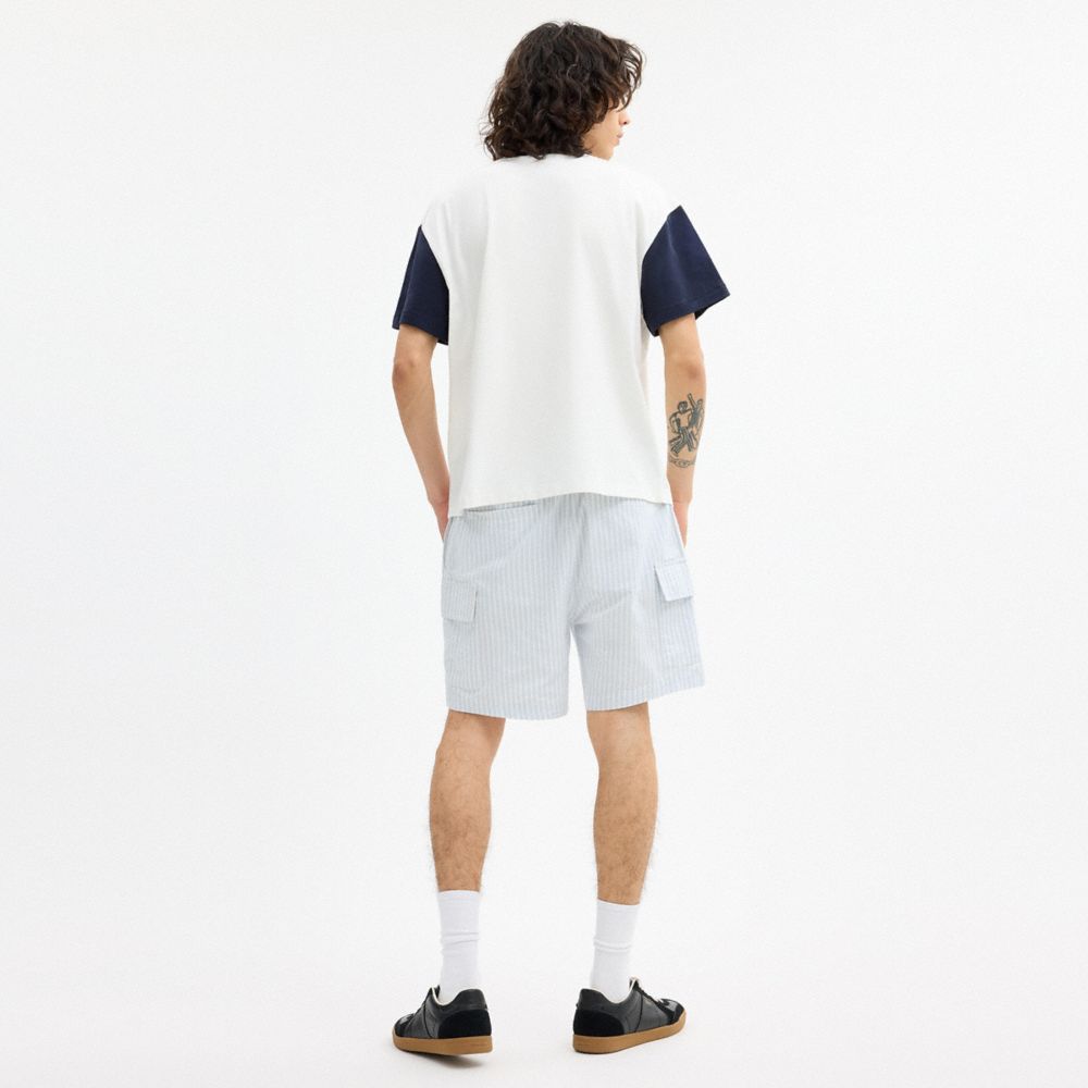 Мужские шорты Coach Brain Dead Striped Camp Shorts — фото 3