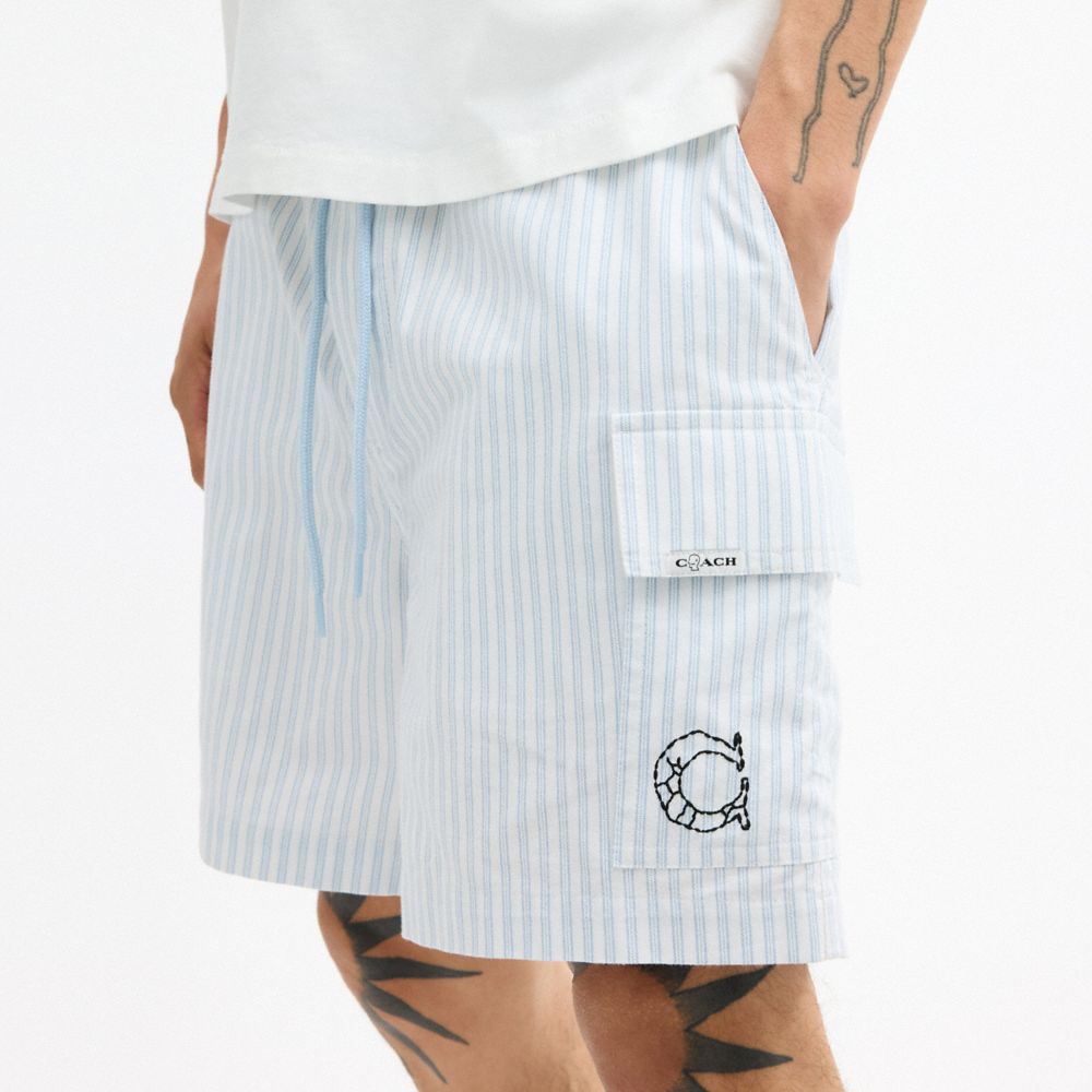 Мужские шорты Coach Brain Dead Striped Camp Shorts — фото 4