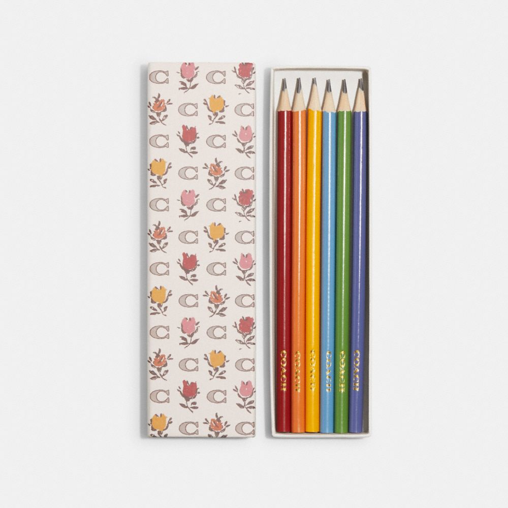 COACH®,PENCIL SET WITH BADLANDS FLORAL PRINT,Mini,Gold/Chalk Multi,Inside View,Top View
