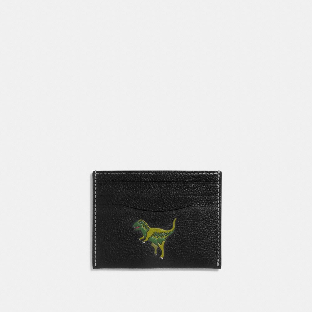 Dinosaur on sale wallet coach