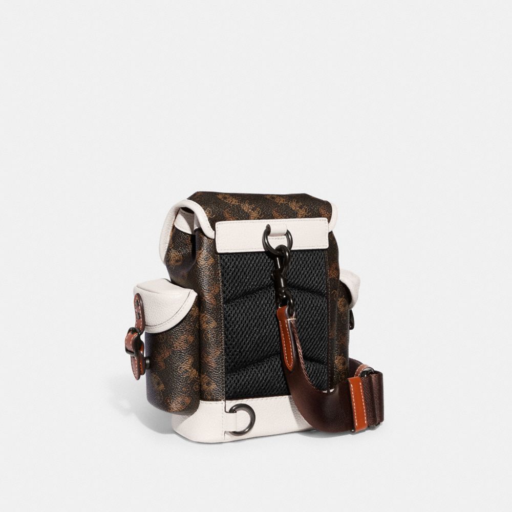 hitch backpack 13 with horse and carriage print