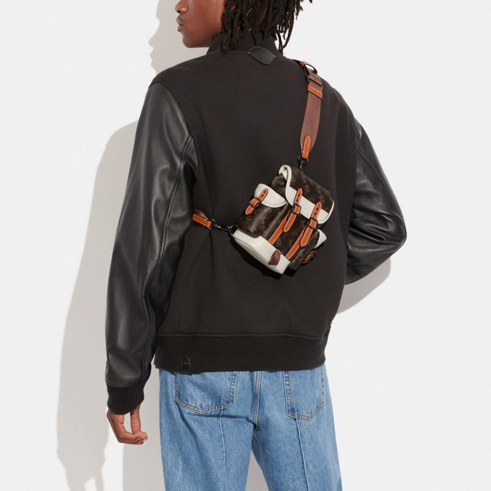 Hitch Backpack 13 With Horse And Carriage Print