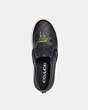 COACH®,SKATE SLIP ON SNEAKER IN SIGNATURE CANVAS WITH REXY,Signature Coated Canvas,Rexy,Black,Inside View,Top View