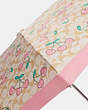 COACH®,UV PROTECTION MINI UMBRELLA IN SIGNATURE HEART CHERRY PRINT,Fabric,Gold/Light Khaki Multi,Detail View