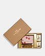 COACH®,BOXED MINI WALLET ON A CHAIN WITH HEART CHERRY PRINT,Fabric,Gold/Powder Pink Multi,Front View