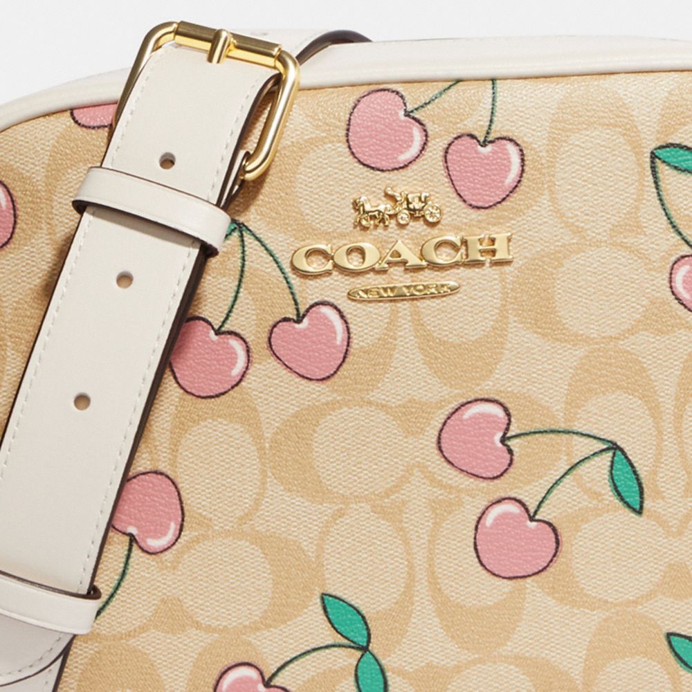 Coach Jamie Camera Bag in Signature Canvas with Heart Cherry Print