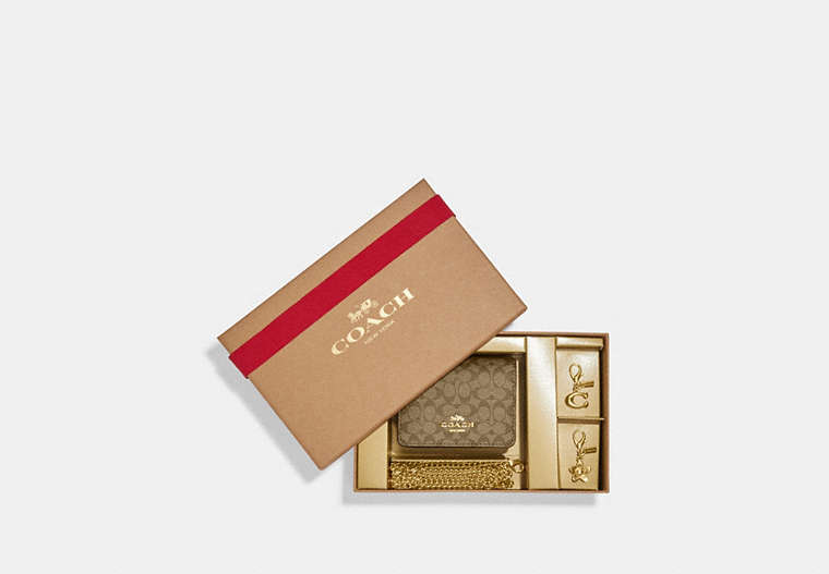 COACH®,BOXED MINI WALLET ON A CHAIN IN SIGNATURE CANVAS,Signature Coated Canvas,Gold/Khaki Saddle,Front View
