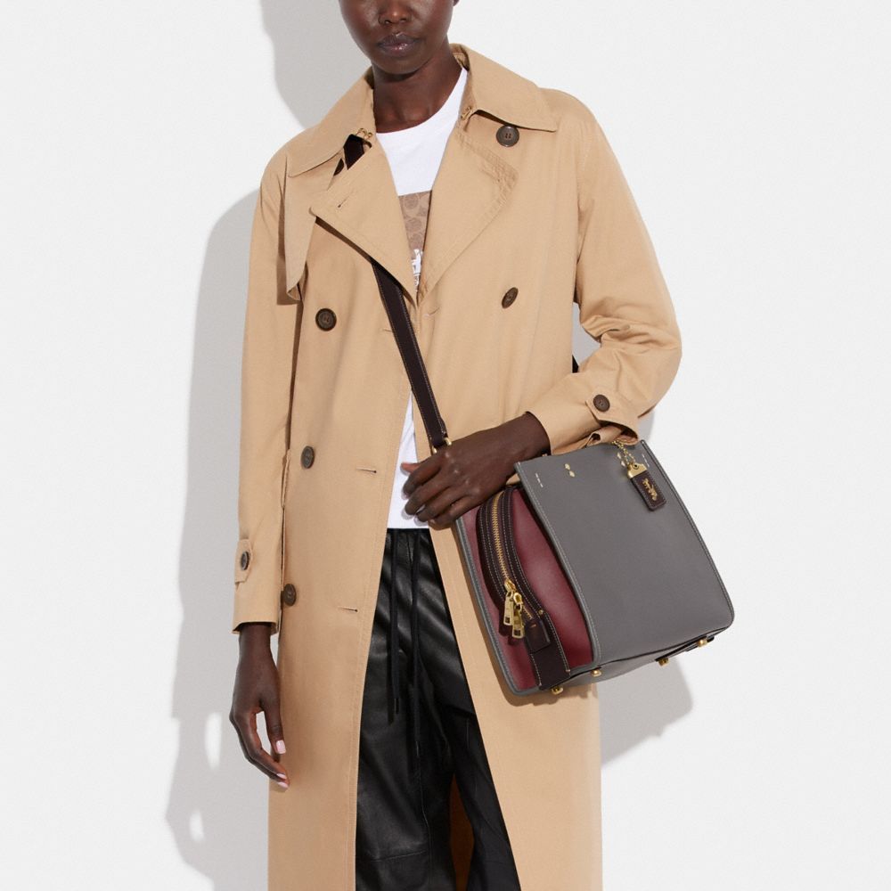 Rogue Bag In Colorblock