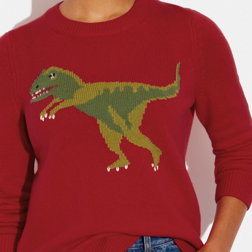 COACH Rexy Crewneck Sweater