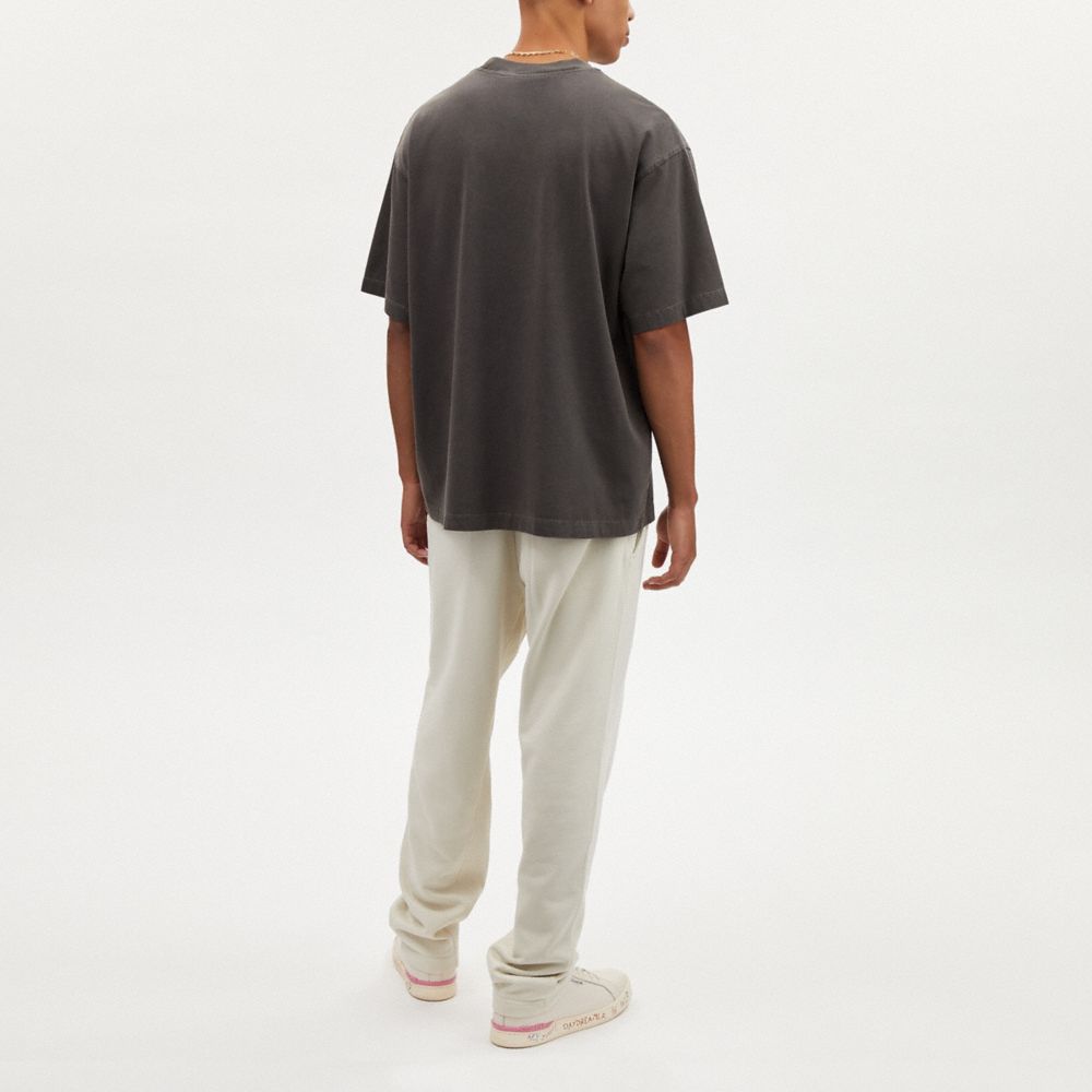 COACH®,POCKET T-SHIRT,Smoke,Scale View