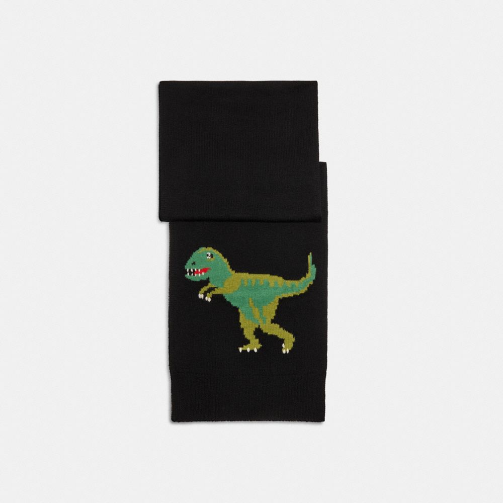 Gucci T-shirt vs Dinosaur jumper from Coach: Which is your