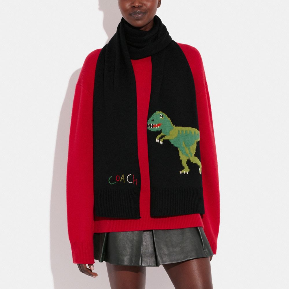 Gucci T-shirt vs Dinosaur jumper from Coach: Which is your