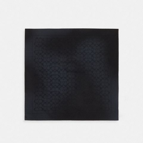 Женские аксессуары Coach Textured Signature Print Bandana