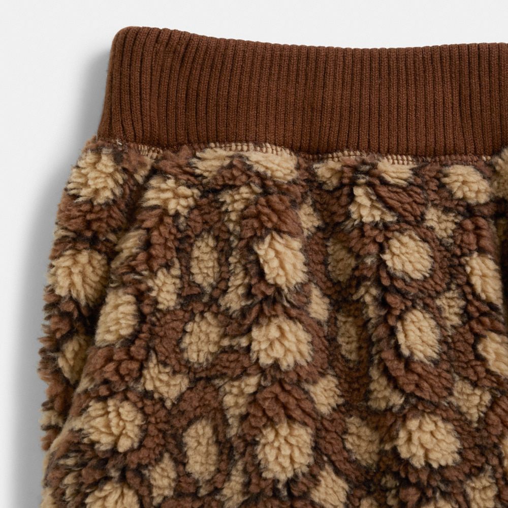 COACH®,Restored Signature Sherpa Joggers,Acrylic,Wool,Polyester,Polyamide,Jogger,Logo,Eco-Friendly,Casual,Brown,Scale View