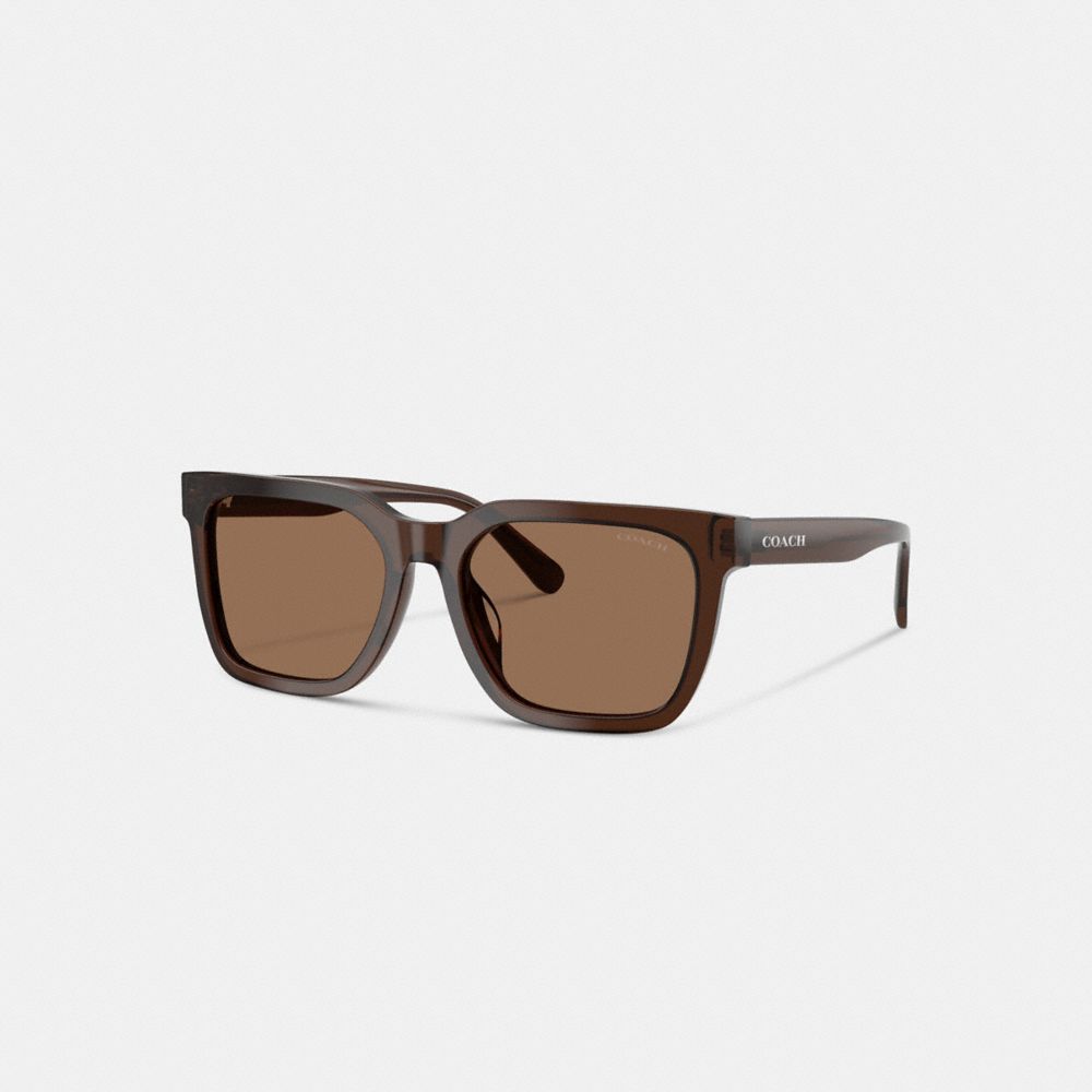 Transparent Brown