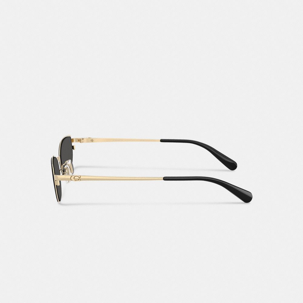 C Hardware Cat Eye Sunglasses