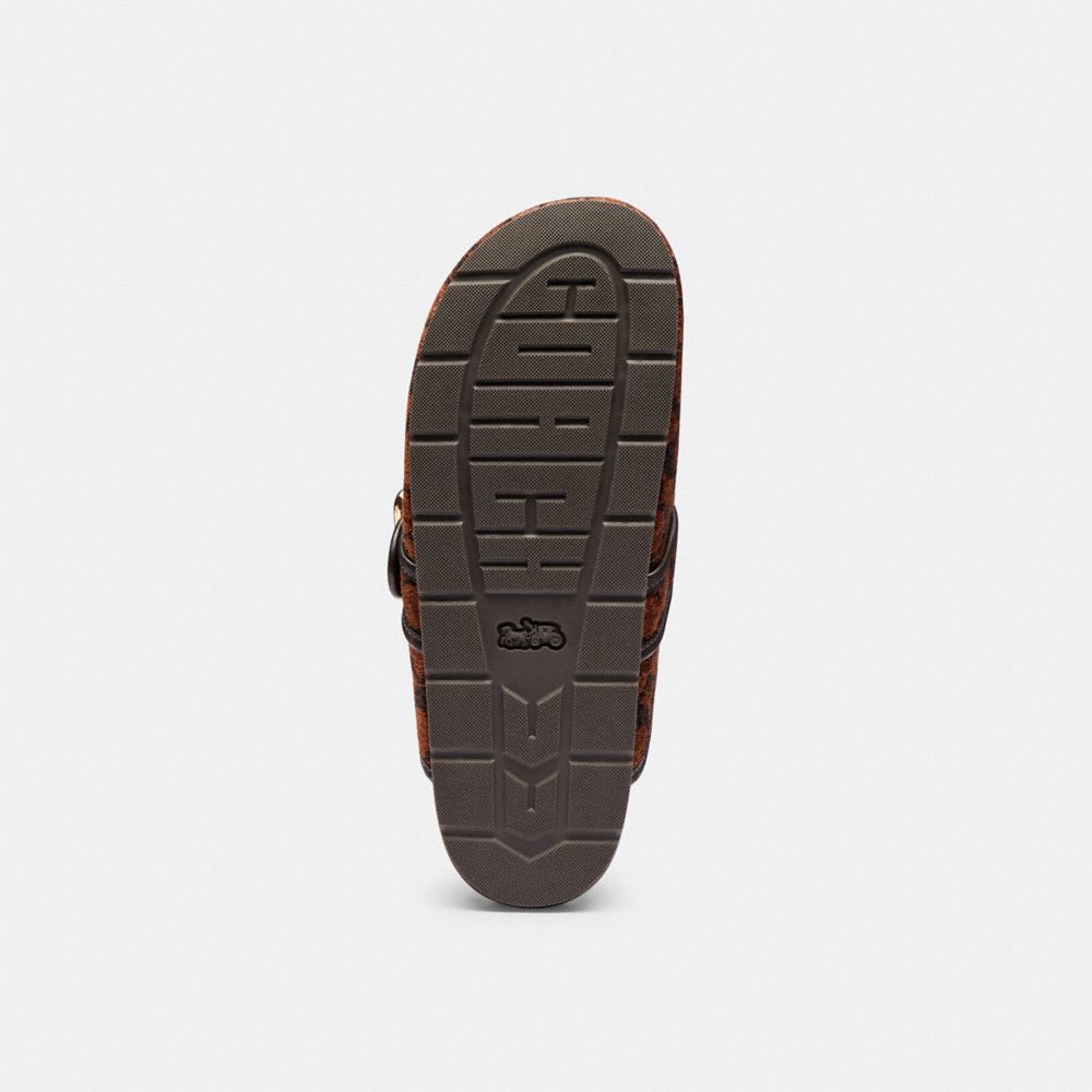 Archival Buckle Clog Signature Chenille