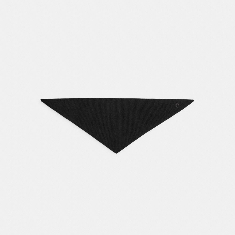 COACH®,Cashmere Knit Small Triangle Scarf,,Front View