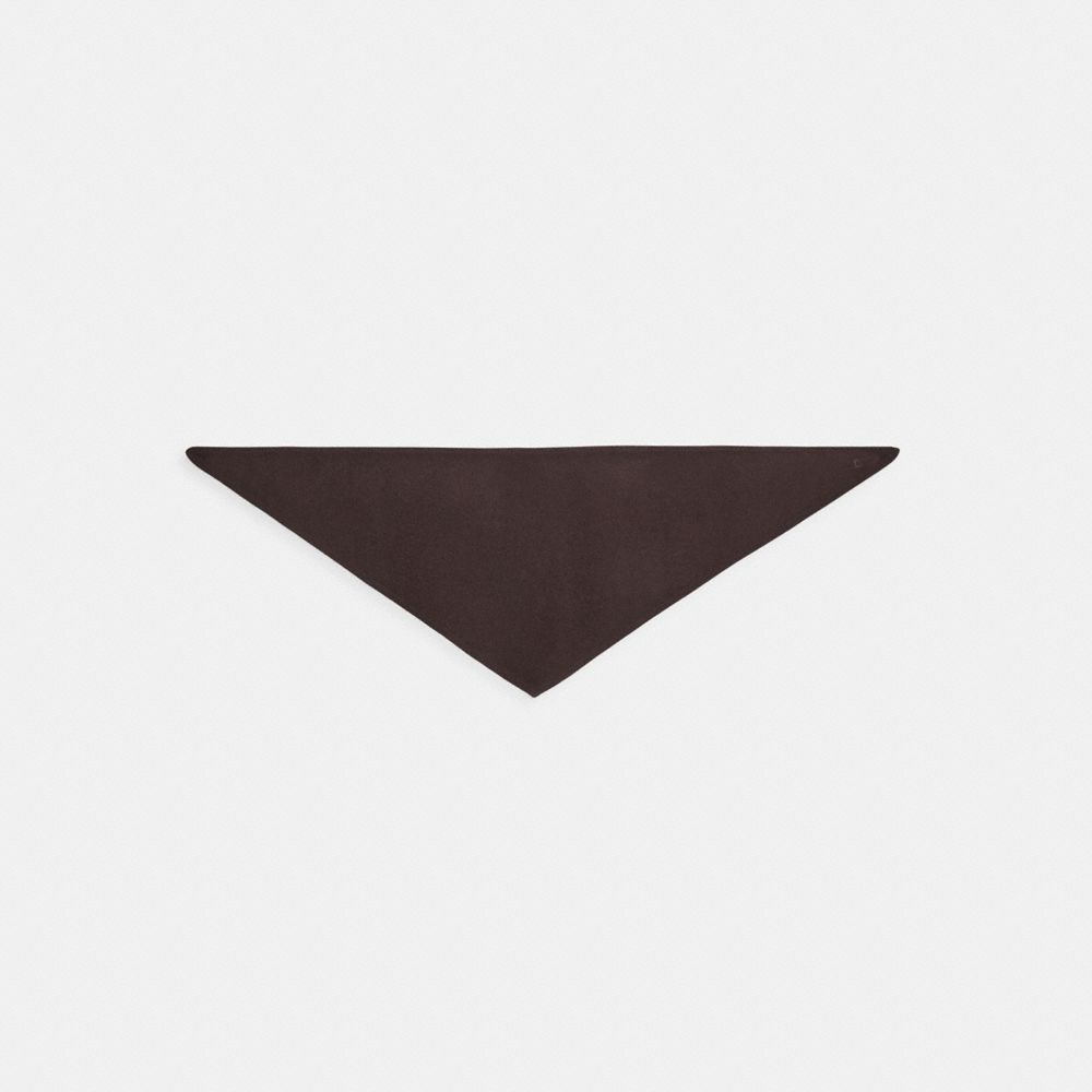 COACH®,Cashmere Knit Triangle Scarf,,Front View