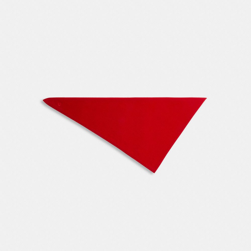 COACH®,Cashmere Knit Triangle Scarf,,Front View
