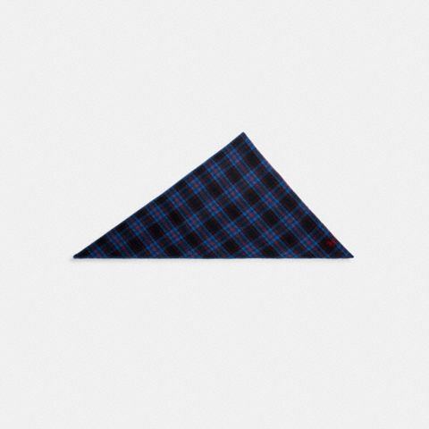 Женский шарф Coach Reversible Plaid Triangle, цвет: Синий / Красный