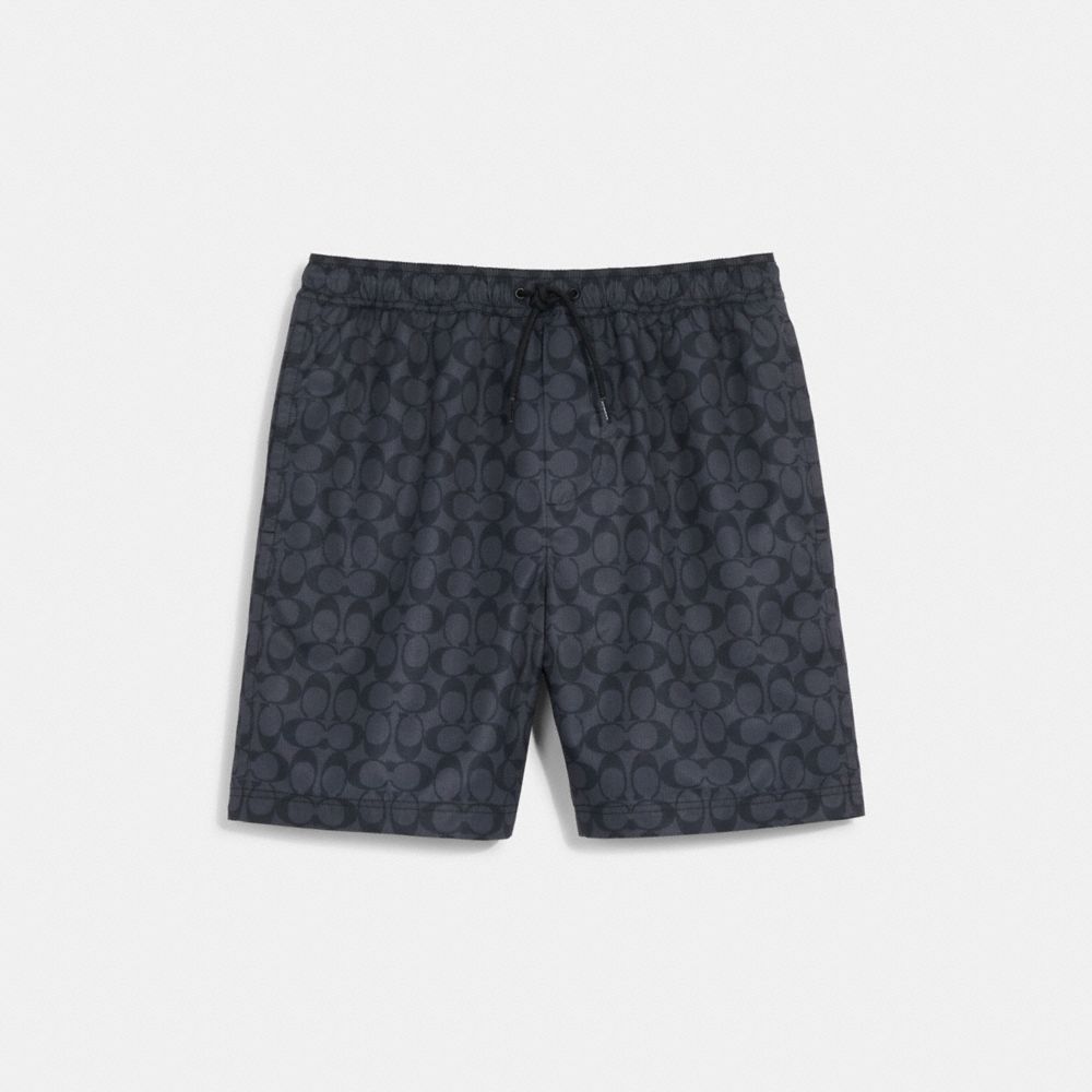 Louis Vuitton Signature Swim Board Shorts